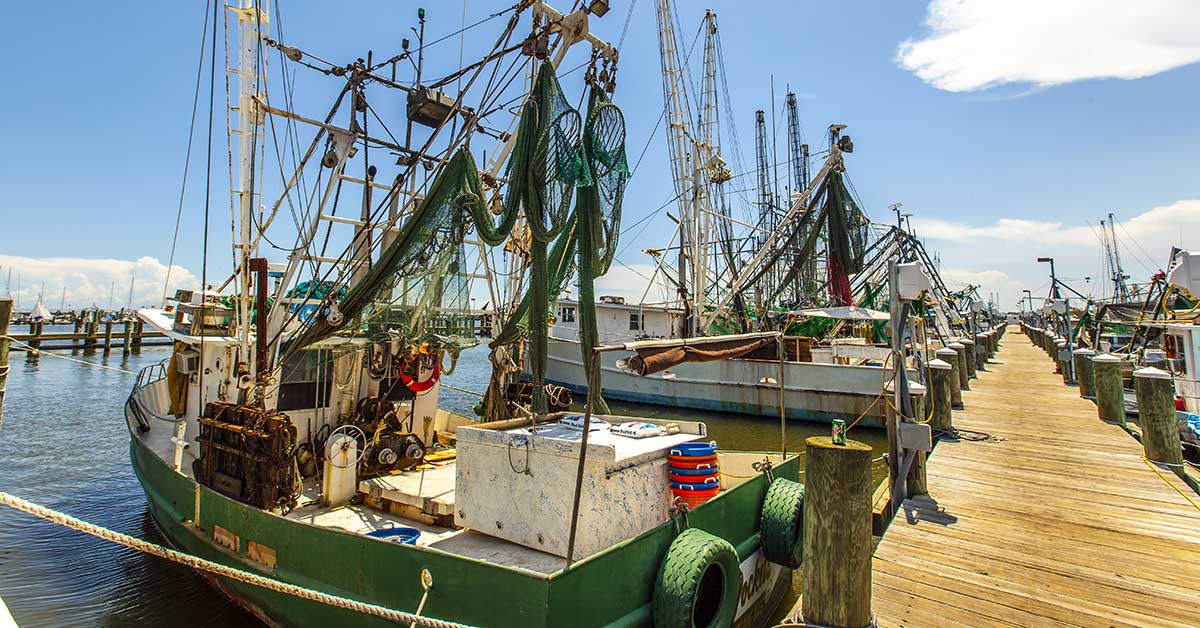 Bonnet Carré Spillway’s Impact on Mississippi Oysters