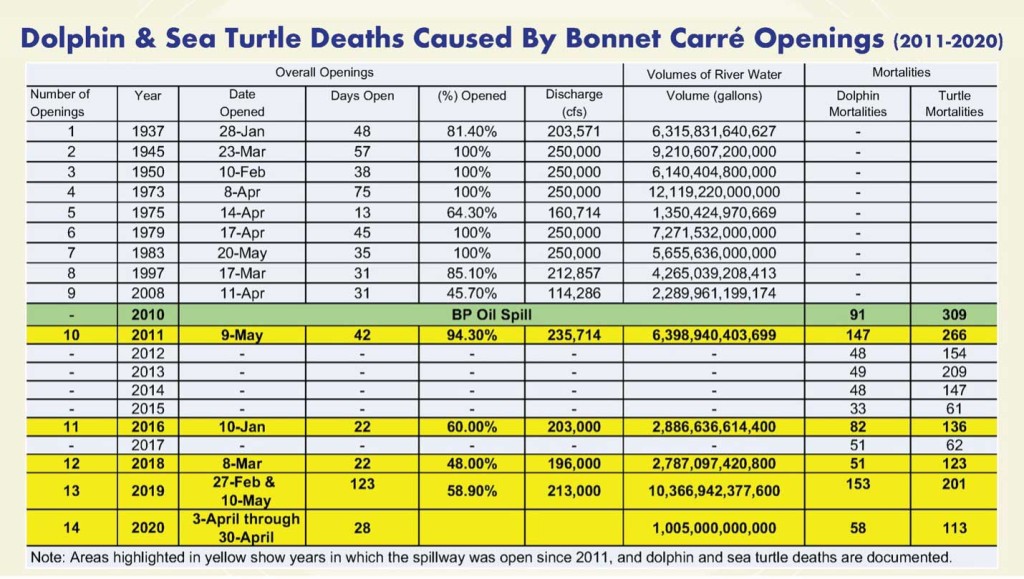 Chart of dolphin deaths