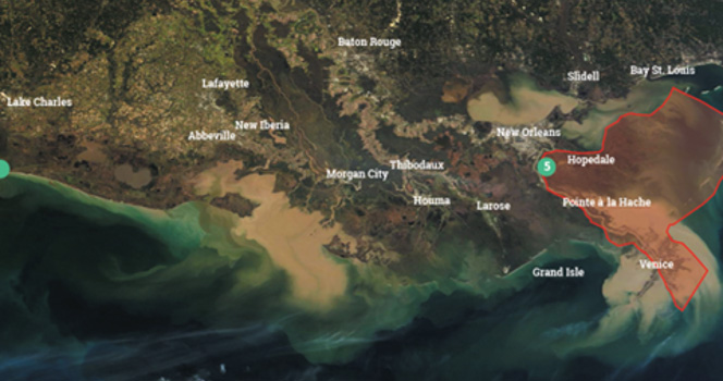 Mid-Breton sediment Gulf of Mexico