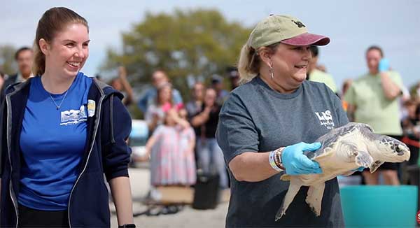 IMMS Sea Turtle release