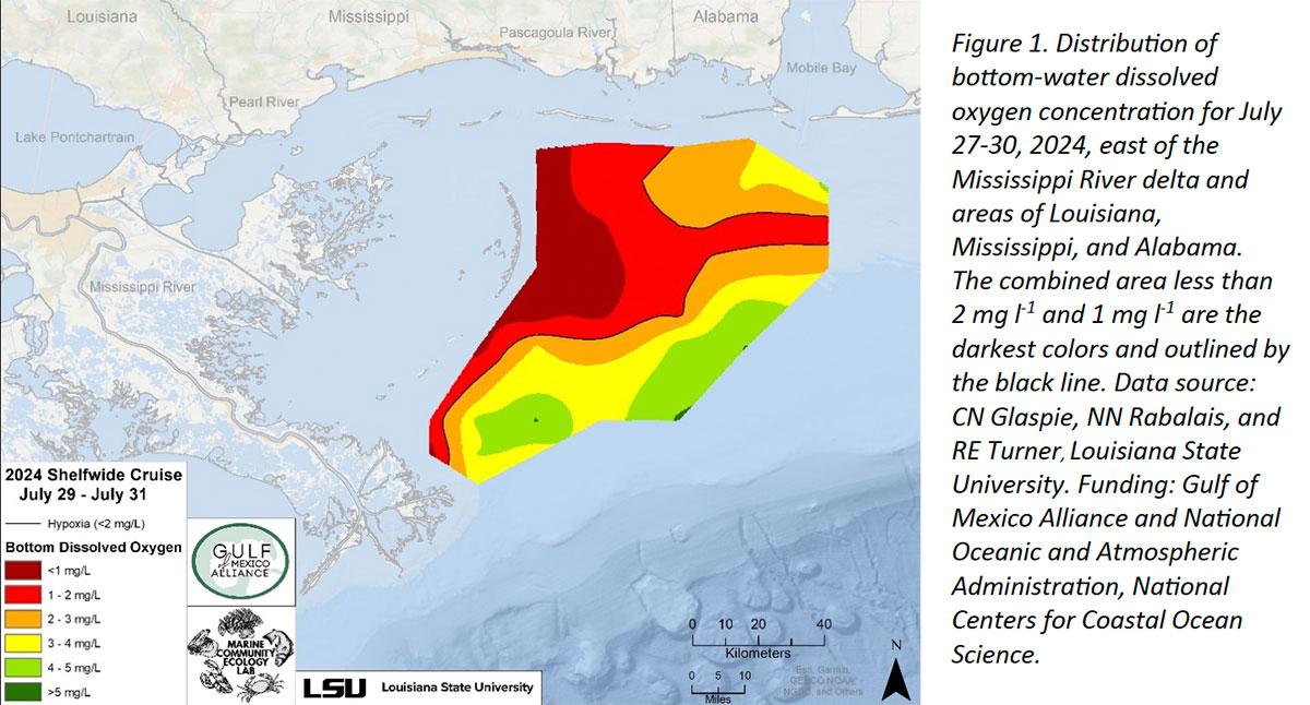 Hypoxia Map